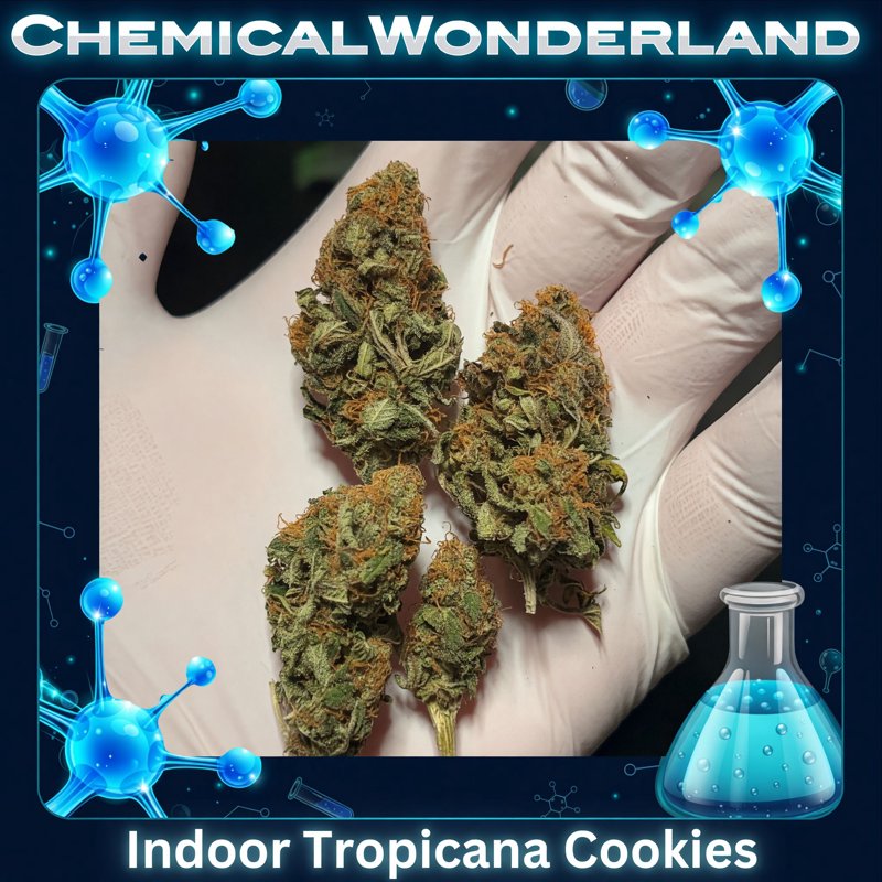 Indoor Tropicana Cookies