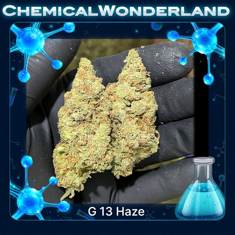 G 13 Haze