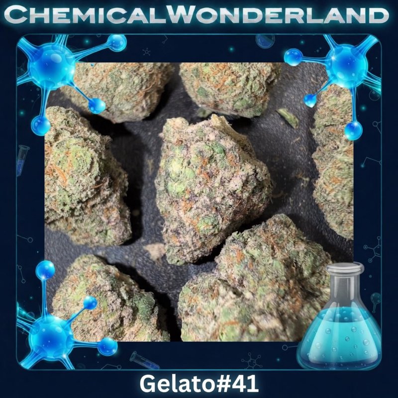 Gelato #41 Canada Cali